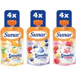 Sunar Cool mix příchutí III 12m+ 12 x 120 g – Hledejceny.cz