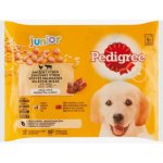 Pedigree Junior v želé 12 x 100 g – Zboží Mobilmania