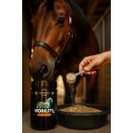 Greenfield Equine Arthri Mobility Max Equine Jablko 1 kg – Hledejceny.cz