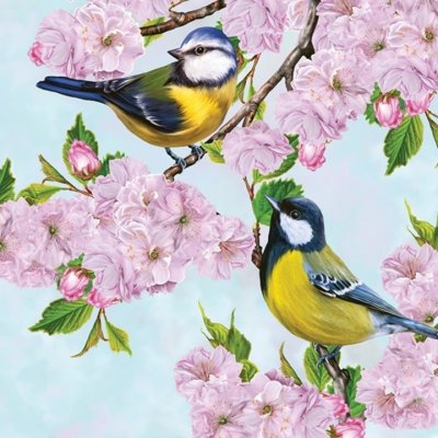Ubrousky na dekupáž Tits on Cherry Blossom Twig 1 ks – Zboží Dáma
