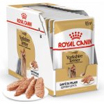Royal Canin Yorkshire Adult 12 x 85 g – Zboží Mobilmania