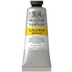 Akrylová barva Winsor & Newton Galeria 60 ml IVORY BLACK – Zboží Mobilmania