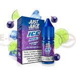 Just Juice Salt ICE Blackcurrant & Lime 10 ml 20 mg – Hledejceny.cz