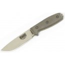 ESEE-4-P-DT