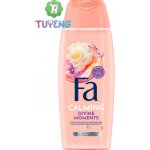 Fa Divine Moments sprchový gel 250 ml – Hledejceny.cz