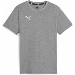 Puma teamGOAL Casuals Tee Jr 658616 33