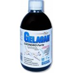 Orling Chondrocan Forte Biosol 500 ml – Hledejceny.cz