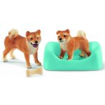 Schleich 42479 Shiba Inu štěně s matkou – Hledejceny.cz