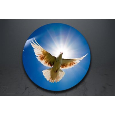Emblém poštovní holub GL237/GL237_25 – Zboží Dáma
