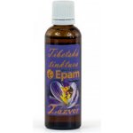 Epam Zázvor lékařský tinktura 50 ml – Hledejceny.cz