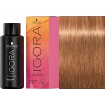 Schwarzkopf Igora VIBRANCE 9-65 Extra HellBlond Schoko Gold zlatá čokoládová extra světlá blond 60 ml – Hledejceny.cz