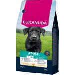 Eukanuba Adult Large Breed Chicken 15 kg – Hledejceny.cz