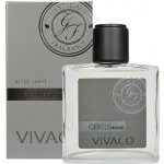 Vivaco Men Gentleman silver voda po holení 100 ml – Hledejceny.cz