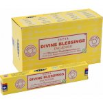 Satya indické vonné tyčinky Divine Blessings 15 g – Hledejceny.cz