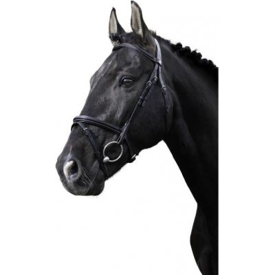 NORTON PRO Fin s anglickým nánosníkem černé – Hledejceny.cz