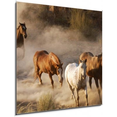 Obraz 1D - 50 x 50 cm - wild horses running divoké koně běží – Zboží Mobilmania