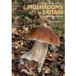 An Identification Guide to Mushrooms of Britain and Northern Europe 2nd edition – Sleviste.cz
