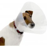 Kruuse Buster Clic Collar Plastový ochranný límec 35 cm – Sleviste.cz