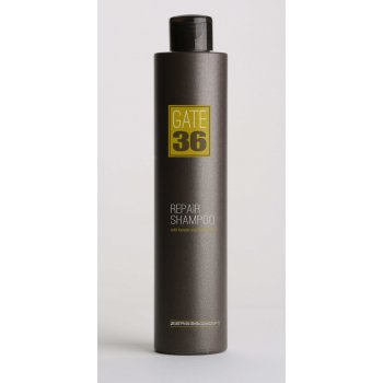 Gate 36 rekonstrukční šampon 250 ml