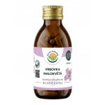 Salvia Paradise Vrbovka malokvětá 120 kapslí – Hledejceny.cz