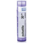 PULSATILLA POR 30CH GRA 4G – Hledejceny.cz
