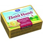 OLMA Zlatá Haná směsný rostlinný tuk 73% 40 x 250 g – Zboží Dáma