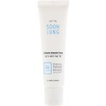Etude House Soon Jung 2x Barrier Intensive Cream 60 ml – Sleviste.cz