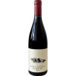 Casa Castillo El Molar červené 2021 14,5% 0,75 l (holá láhev) – Hledejceny.cz