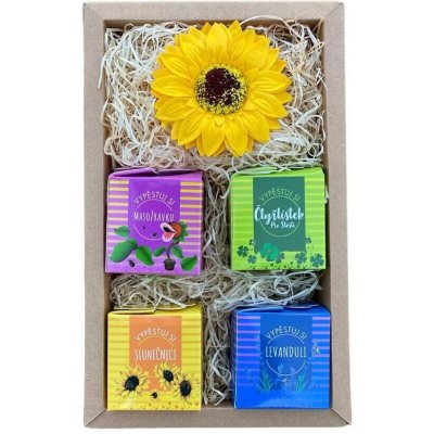 Dárkáč Vypěstuj si sám – Zboží Dáma