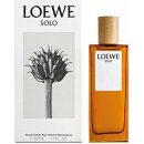 Loewe Solo Platinum toaletní voda pánská 100 ml