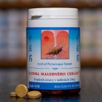 TCM Herbs Klenba malebného chrámu 100 tablet – Hledejceny.cz