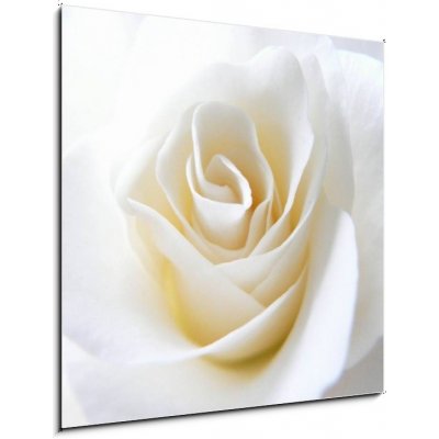 Obraz 1D - 50 x 50 cm - Schneeweisschen oder die wei e Rose Sněhurka nebo bílá růže