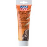 Liqui Moly 1556 Brusná a lěštící pasta 300 g – Zbozi.Blesk.cz