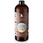 BELINKA Belfresh odšeďovač 1 l – HobbyKompas.cz