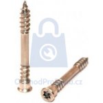 Vrut terasový RAPI-TEC TERASO TOP se závitem pod hlavou, TORX drážka, nerez A4 5,5 x 60, balení 200 ks – Hledejceny.cz