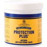 Carr Day Martin Protection plus 500g – Hledejceny.cz