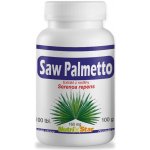 Nutristar Saw Palmeto 100 tablet – Hledejceny.cz