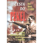 Cesta do pekel - Od požáru Říšského sněmu po operaci Valkýra - Gisevius Hans Bernd – Hledejceny.cz