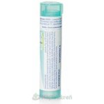 SULFUR POR 200CH GRA 4G – Hledejceny.cz
