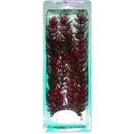 Tetra rostlina Red Foxtail Plus 30 cm – Zboží Mobilmania