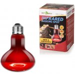 Repti Zoo Infračervená žárovka 100 W – Zboží Dáma