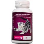 Univit ROBORAN chondro gel pro kočky 60 g – Hledejceny.cz