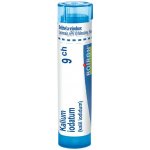 KALIUM IODATUM POR 9CH GRA 1X4G – Hledejceny.cz