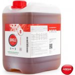 Jungle In Da Box Urban B 5l – Zboží Dáma