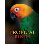 Tropical Birds – Hledejceny.cz