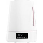 Activeshop 1901 – Zboží Živě