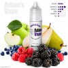 Příchuť pro míchání e-liquidu Adams vape Shake & Vape Garden Fruit 12 ml