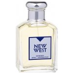 Aramis New West toaletní voda pánská 100 ml – Hledejceny.cz