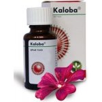 KALOBA POR GTT SOL 1X20ML – Hledejceny.cz