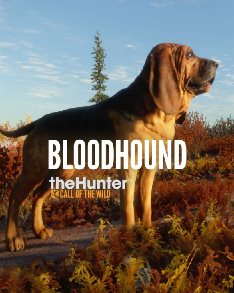 theHunter: Call of the Wild - Bloodhound